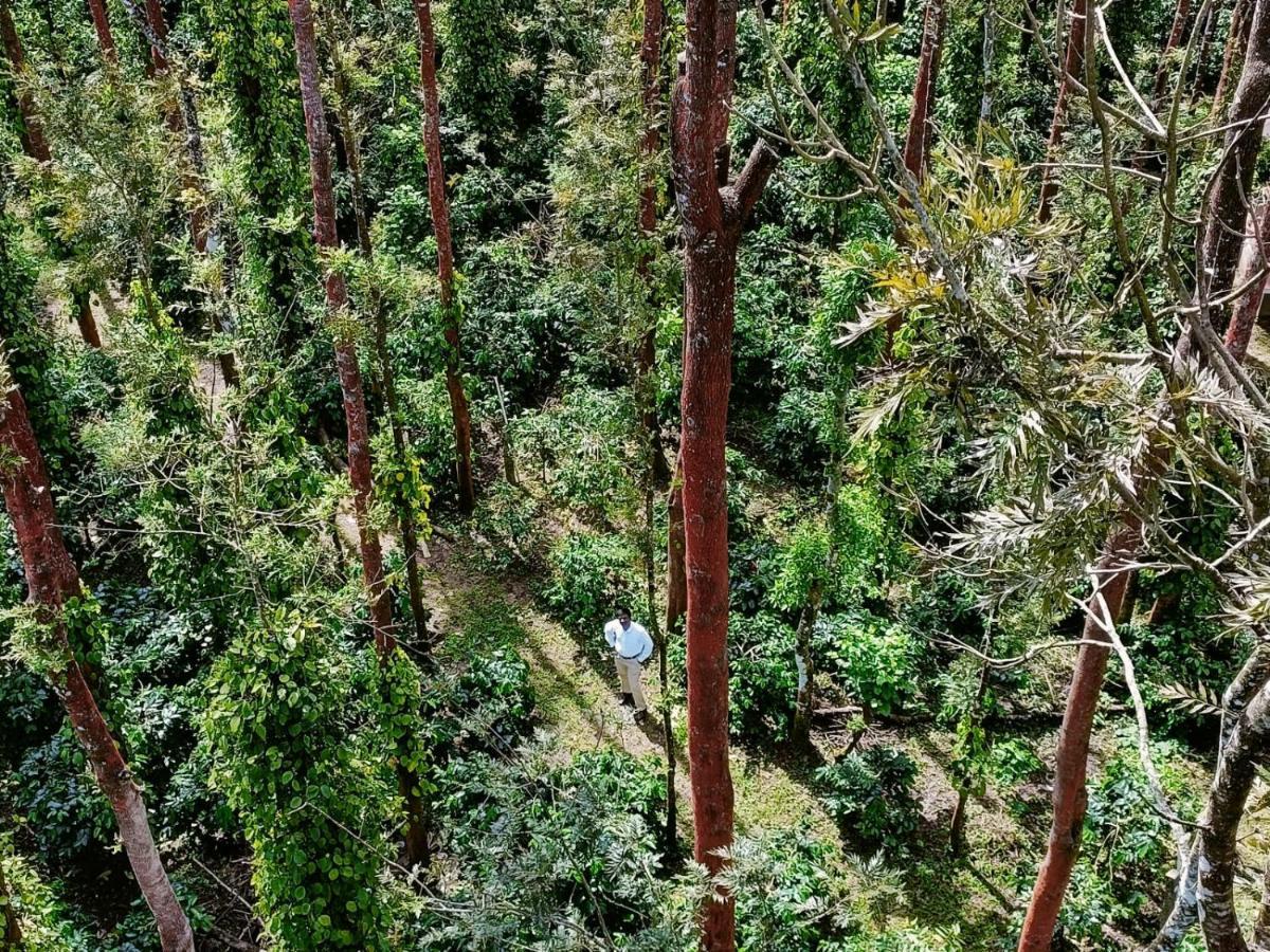 Coffee Grove Resort Chikmagalur Exterior photo