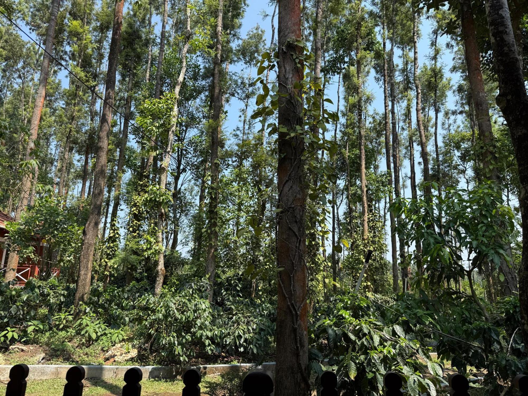 Coffee Grove Resort Chikmagalur Exterior photo