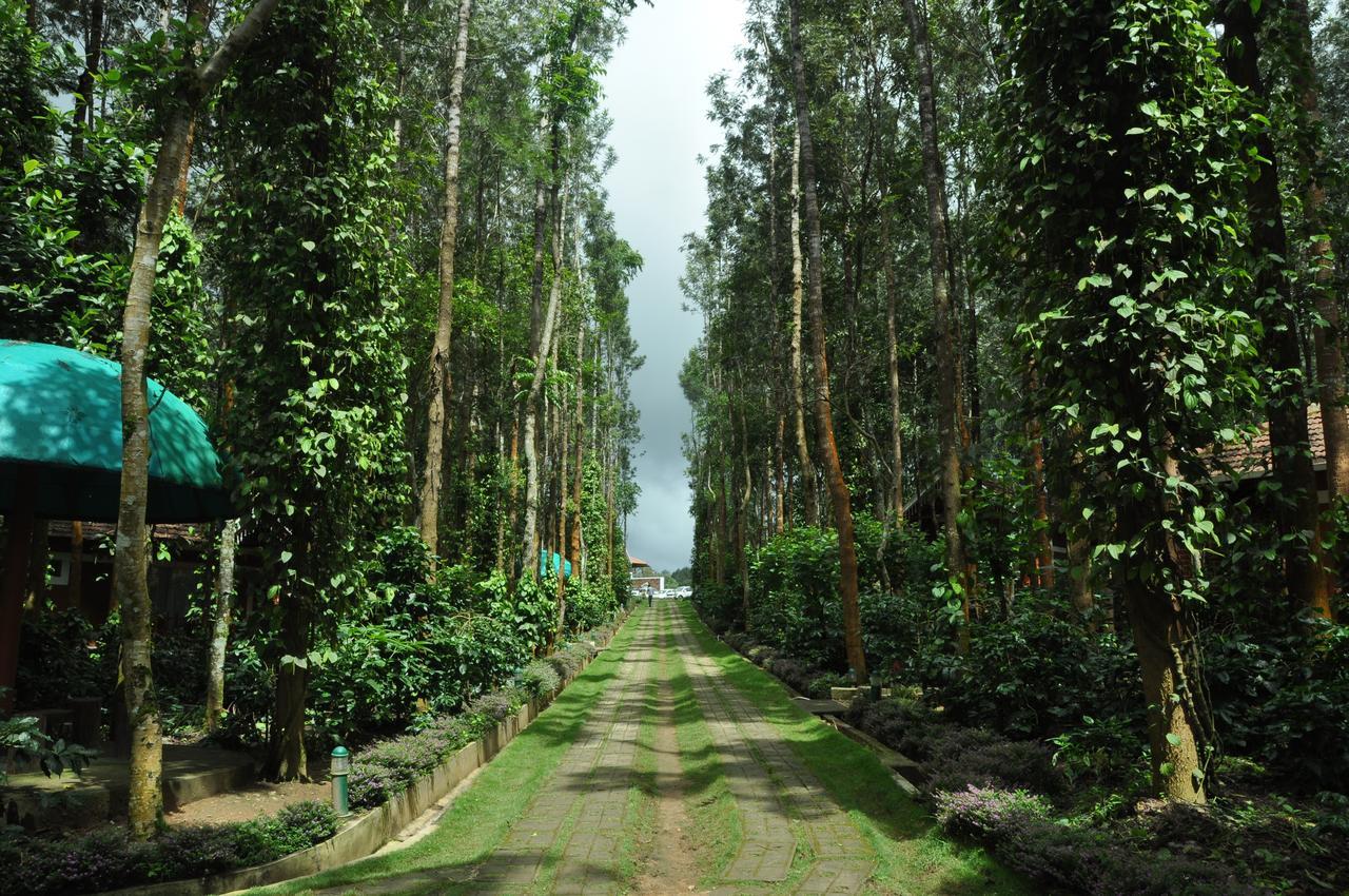 Coffee Grove Resort Chikmagalur Exterior photo